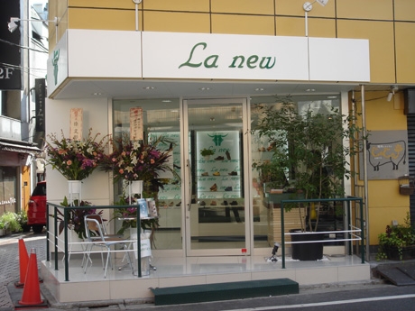 ���ѤΥ����奢�뷤�֥�˥塼�פ���ͳ���֤˹���3��Ź